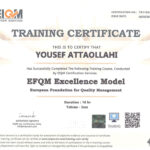 صفحه اصلی - پوشش بام تخت جمشید EFQM